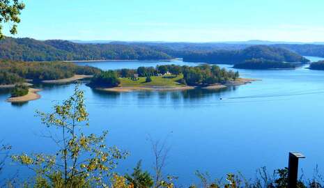 Community Festival Draws State-wide Tourism Photo